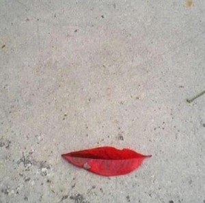 leaf lips